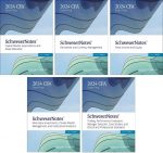 2024 CFA Nível 3 Schweser Notes
