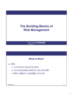 FRM 2025 Schweser Videos Part 1 with Workbook