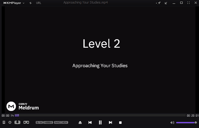 CFA 2026 Mark Meldrum Videos Level 2 - Image 3